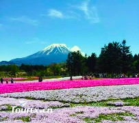 【国航】日本东京+富士山双温泉美食六日游
