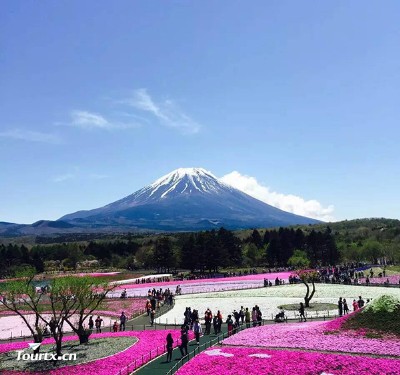 【川航】日本东京+富士山双温泉美食七日游