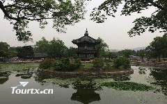 【首尔济州】国航《首尔+济州》四飞六日游 浪漫之樱---韩国旅游的首选