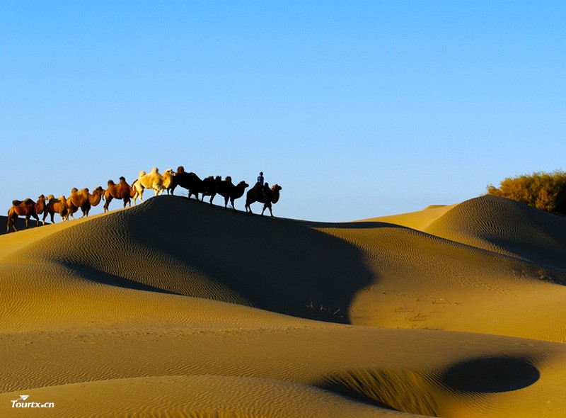 巴丹吉林沙漠.jpg